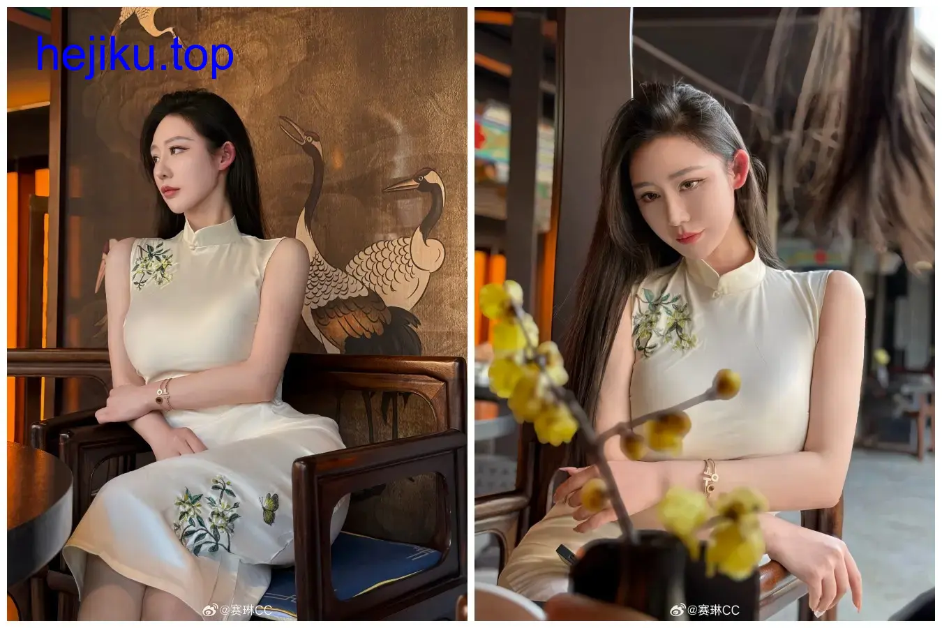 不爱笑的赛琳cc铁粉空间作品