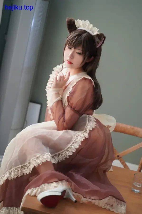 虎森森最新cosplay作品集